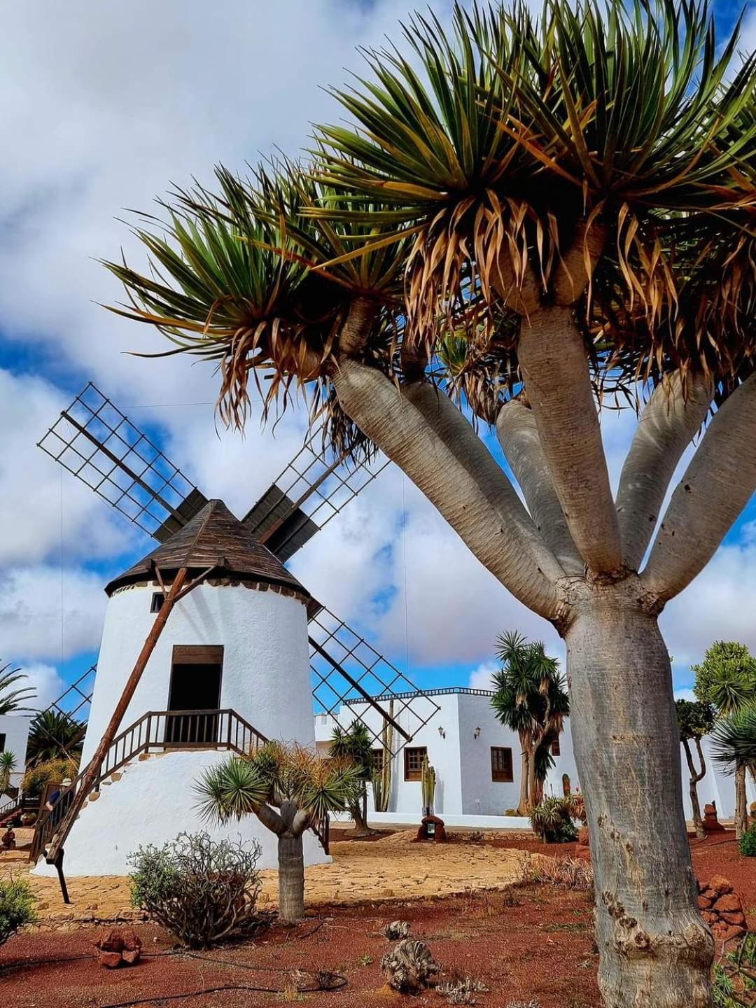 Casa Del Mar Air-Conditioned Apartment With Swimming Pools - Corralejo Playa Luaran gambar